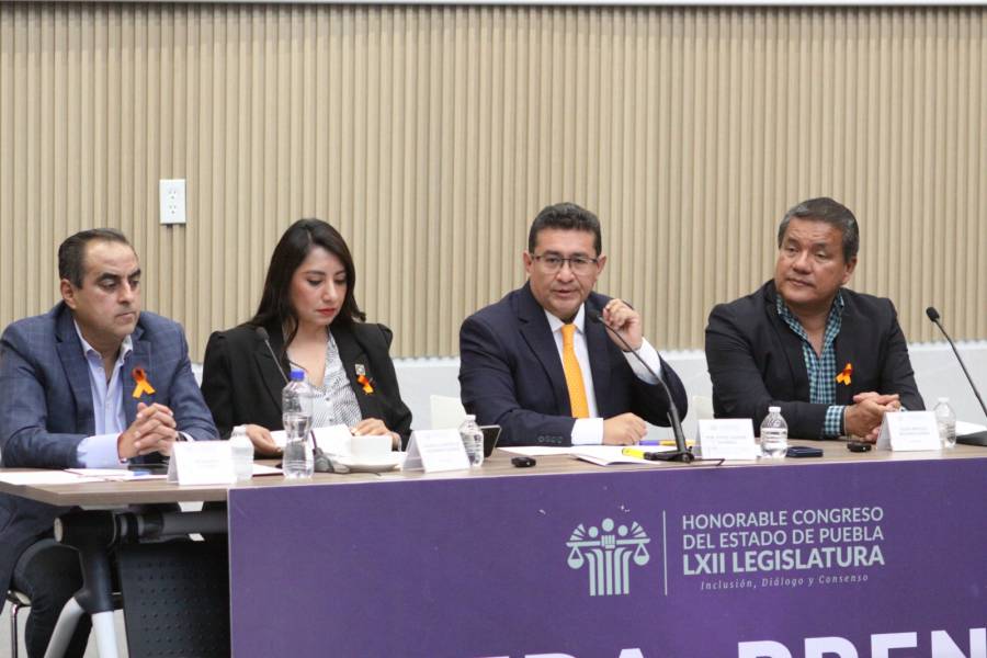 Con perspectiva de g&eacute;nero e inclusi&oacute;n, el Congreso trabaja por la protecci&oacute;n de mujeres y ni&ntilde;as: P&aacute;vel Gaspar