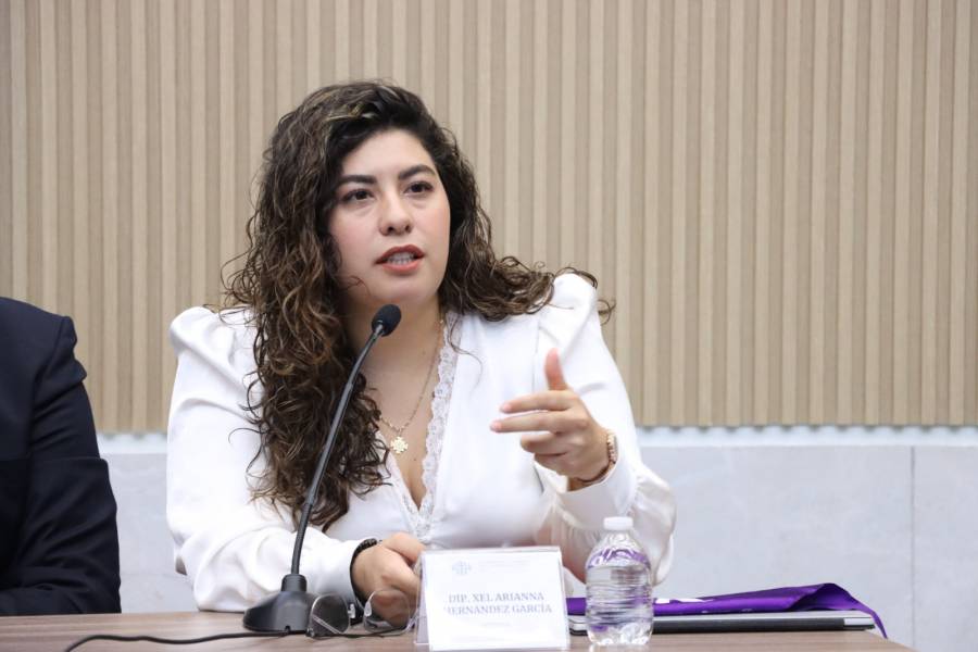 Impulsa diputada Xel Arianna Hern&aacute;ndez iniciativa en materia de violencia vicaria