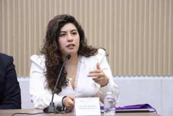 Impulsa diputada Xel Arianna Hern&aacute;ndez iniciativa en materia de violencia vicaria