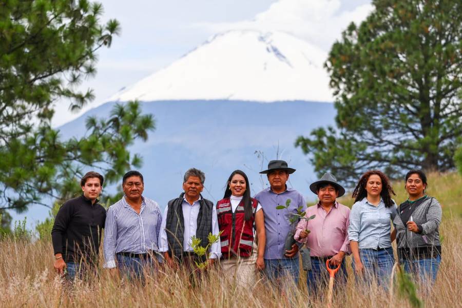 Mantiene Tonantzin Fern&aacute;ndez reforestaciones constantes en el Cerro Zapotecas