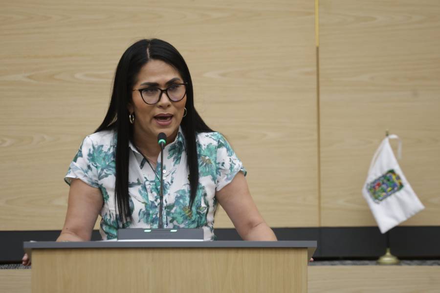 Impulsa diputada Fedrha Suriano iniciativa para la prevenci&oacute;n de riesgos en actividades de turismo de naturaleza y aventura
