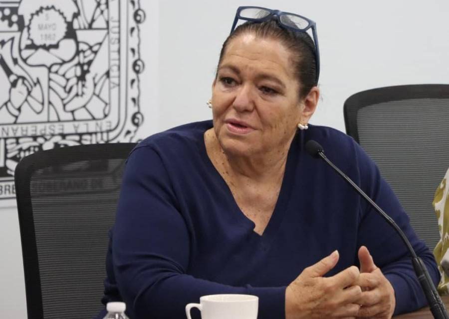 Trabaja diputada Luana Amador en una propuesta para implementar un proceso de consulta incluyente para personas con discapacidad