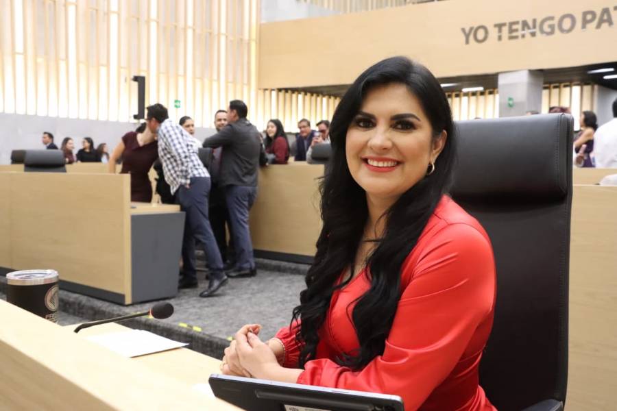 Presenta diputada Delfina Pozos exhorto para fortalecer la planeaci&oacute;n urbana ante el cambio clim&aacute;tico