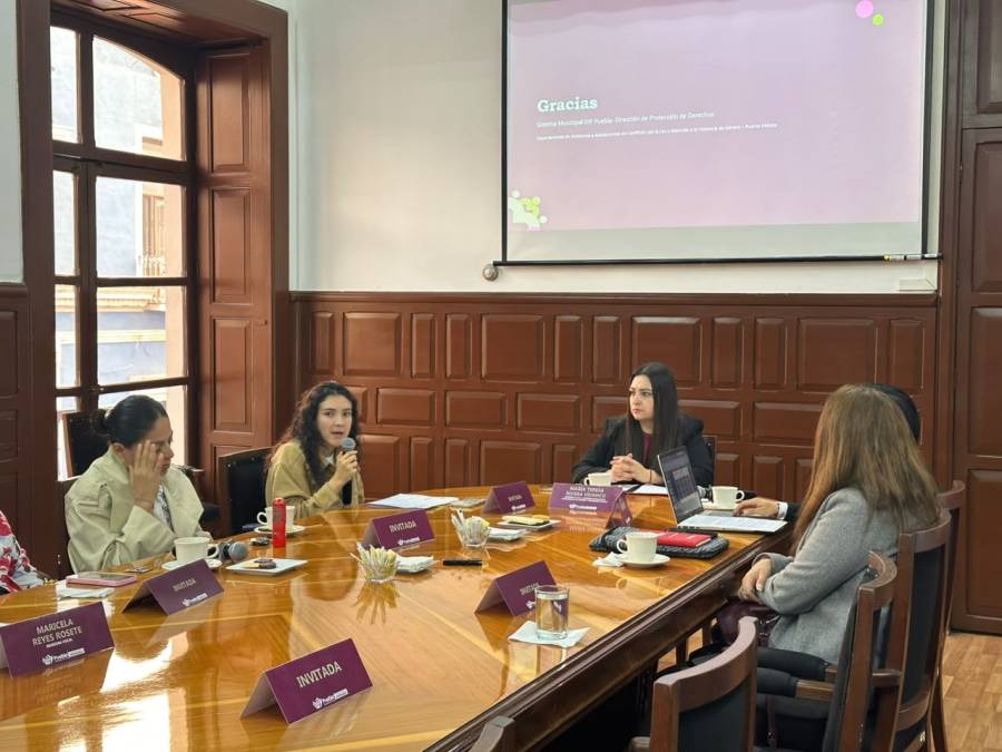 Atiende DIF Puebla Capital a 106 personas v&iacute;ctimas de violencia de enero a julio de 2026