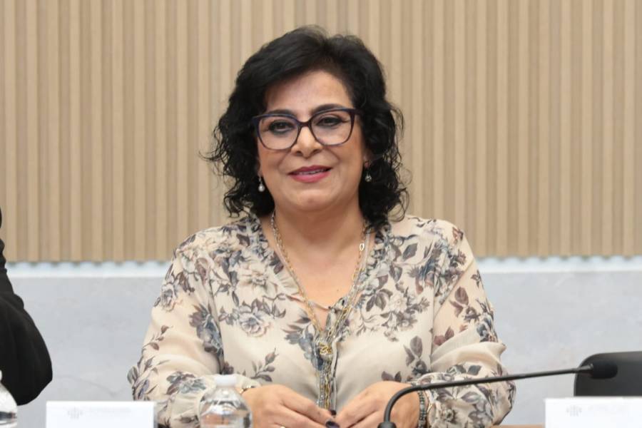 Impulsa la diputada Guadalupe Yamak Taja adiciones al C&oacute;digo Penal del Estado para tipificar el delito de acecho