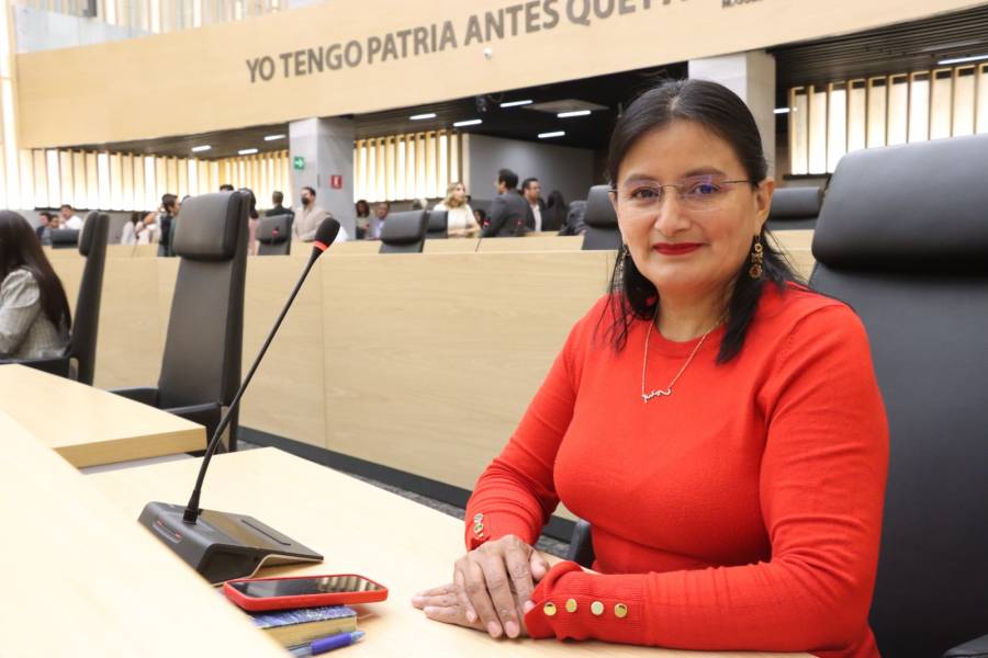 Diputada Esther Mart&iacute;nez promueve iniciativa para tipificar el delito de etnocidio en Puebla