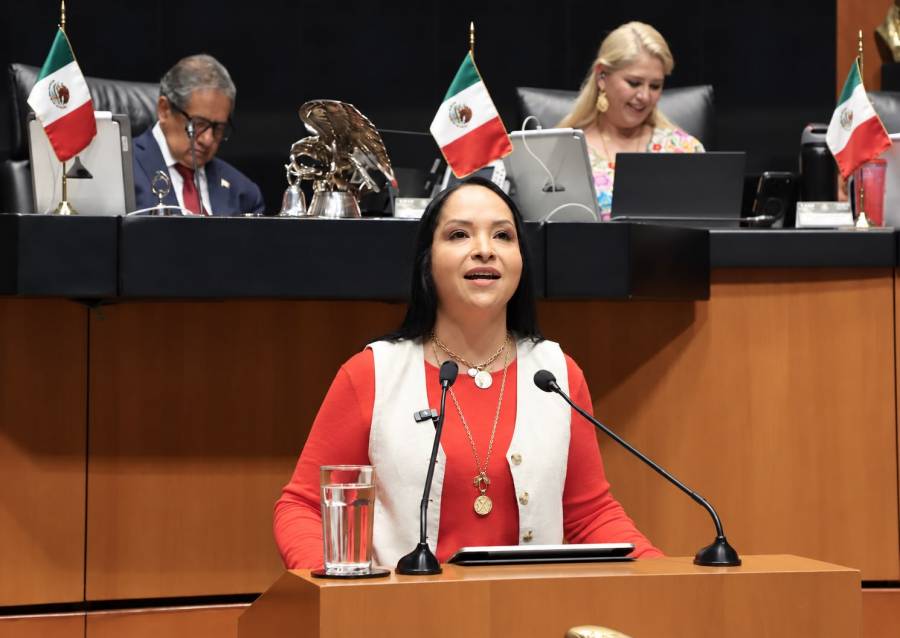 Liz S&aacute;nchez logra respaldo un&aacute;nime en el Senado y llevar&aacute; a Puebla agenda sobre menopausia
