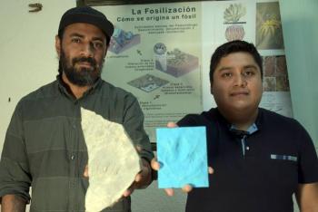Investigadores BUAP registran nuevas huellas de dinosaurio en Puebla