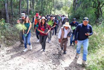 Con el respaldo del Gobierno del Estado, Tonantzin Fern&aacute;ndez encabeza jornada de reforestaci&oacute;n en el Cerro Zapotecas