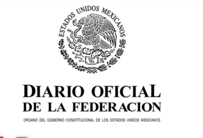 SEP prohibirá el uso de celulares en escuelas a partir del 3 de noviembre; fue acordado con gobernadores