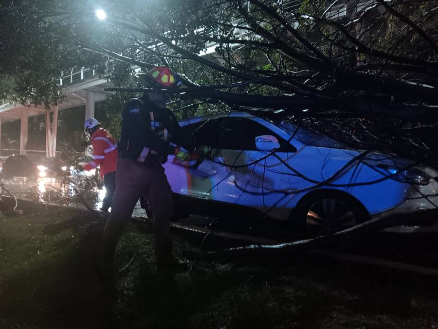 Despliega Gobierno de Pepe Chedraui acciones y atenci&oacute;n inmediata a reportes por lluvias