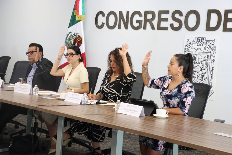 Comisi&oacute;n del Congreso avala acuerdo para fortalecer vigilancia sobre el uso de agroqu&iacute;micos en Puebla