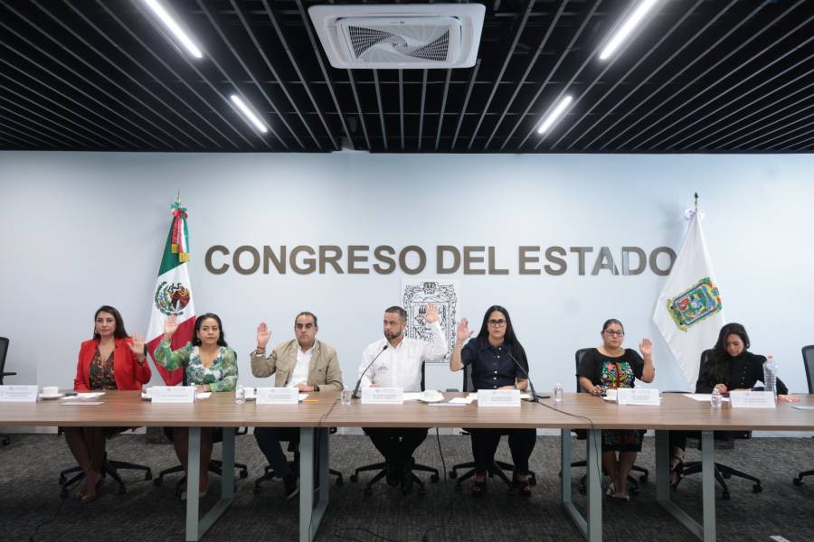 Avala Comisi&oacute;n del Congreso exhorto para fortalecer programas de cultura vial escolar