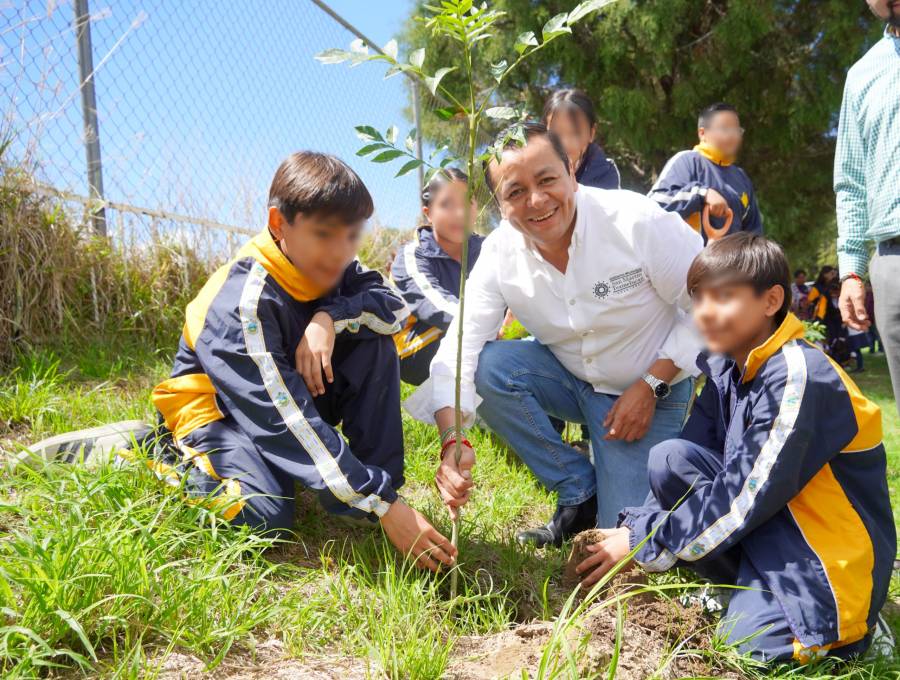 Gobierno de Juan Manuel Alonso incrementa 52% la plantaci&oacute;n de &aacute;rboles para recuperar espacios p&uacute;blicos en Texmelucan