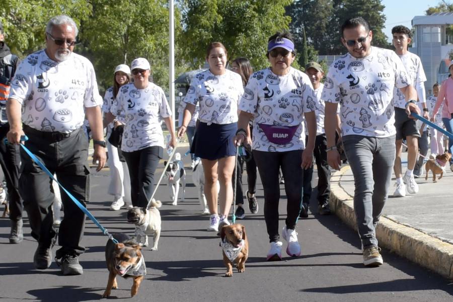 CAETO, un espacio a favor de la atenci&oacute;n emocional de los estudiantes