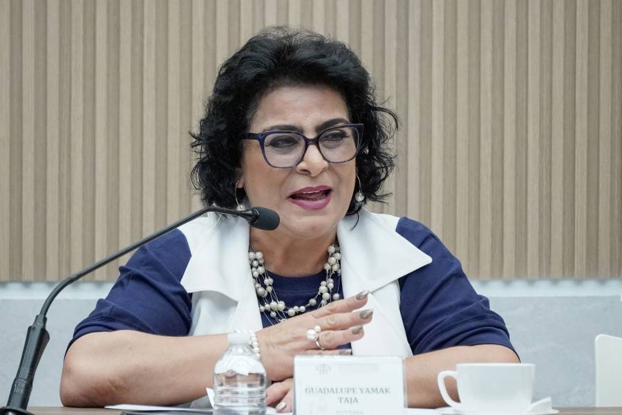 Diputada Guadalupe Yamak propone tipificar como delito el ejercicio abusivo de funciones en Puebla