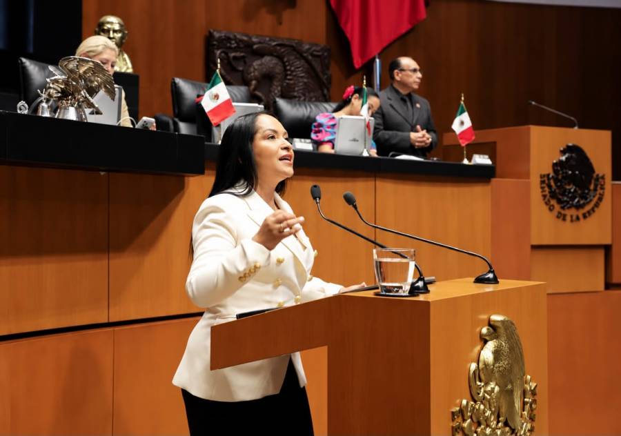 Quien aspire a gobernar debe poner los intereses de M&eacute;xico y de su pueblo primero: Liz S&aacute;nchez