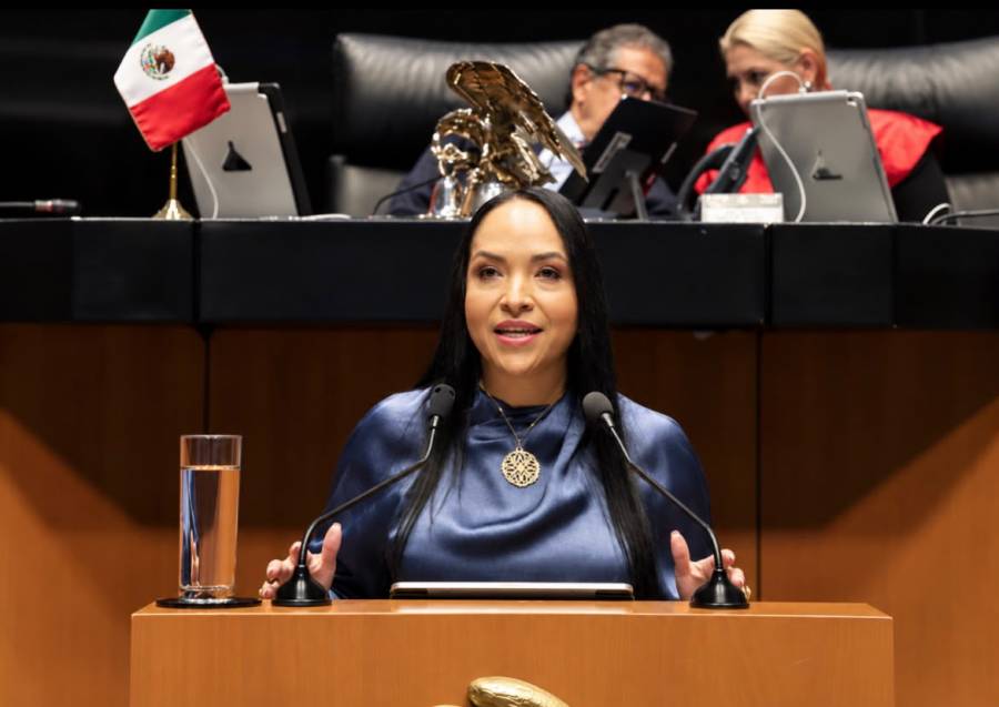No se legisla contra el humor, se legisla contra el enga&ntilde;o: Liz S&aacute;nchez