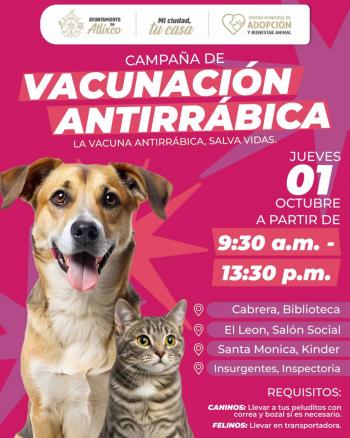 Atlixco impulsa bienestar animal con Jorndas de Vacunaci&oacute;n Antirr&aacute;bica