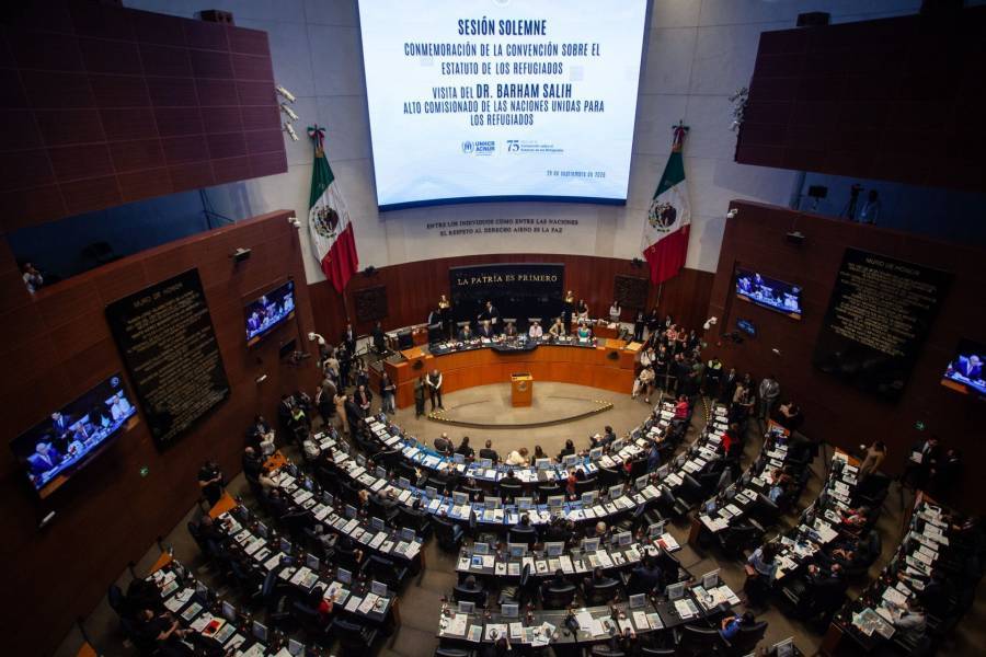 Senado aprueba la llamada Ley Antimemes entre acusaciones de censura a la satira politica en redes sociales