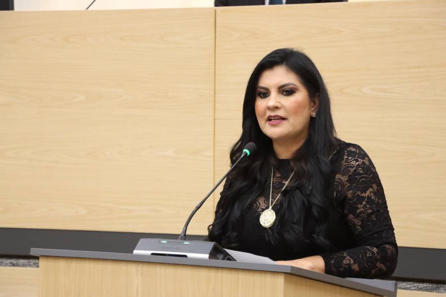 Diputada Delfina Pozos propone fortalecer la legalidad en los reglamentos municipales