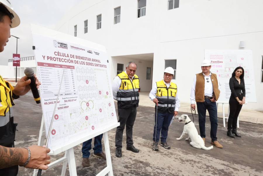 Gobierno Estatal alcanza 88 por ciento de avance en c&eacute;lula de bienestar animal