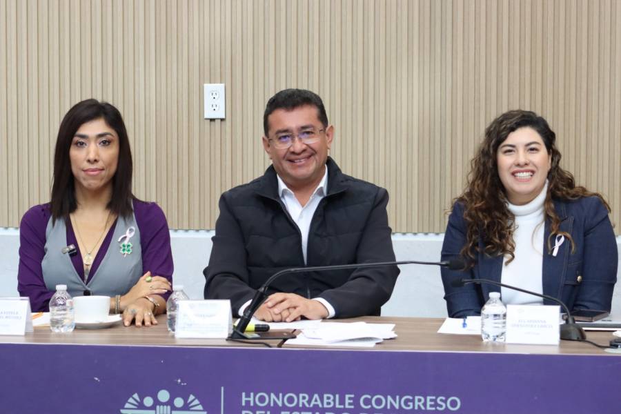 Aprobaci&oacute;n de donaci&oacute;n de predios para estaciones del Cableb&uacute;s es un voto de confianza: Xel Arianna Hern&aacute;ndez
