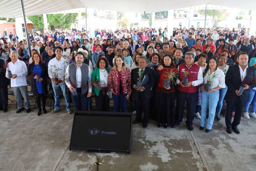 Gobierno de Pepe Chedraui impulsa educaci&oacute;n ambiental con 120 huertos escolares y nuevos santuarios de polinizadores