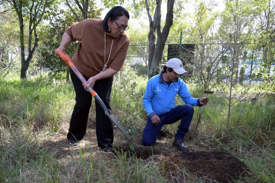 Realiza Jard&iacute;n Bot&aacute;nico Universitario el Primer Festival de los Encinos