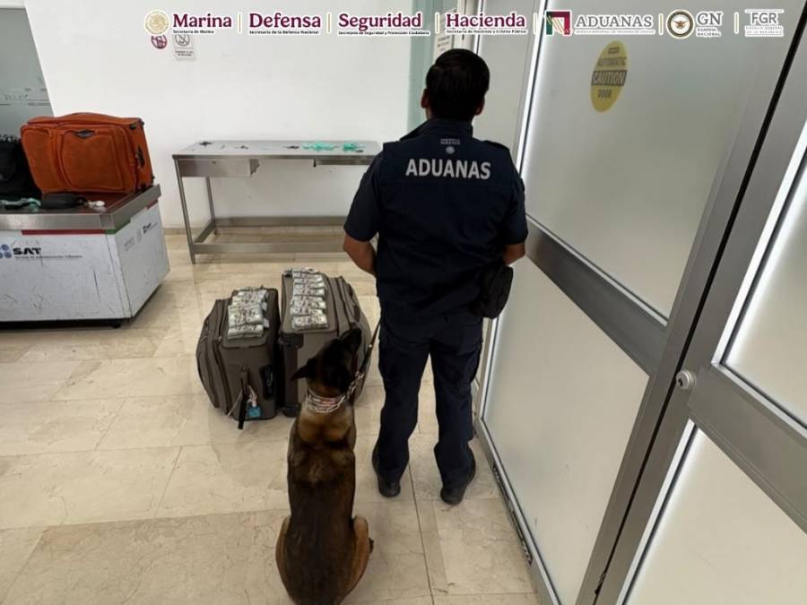 Aseguran más de 365 mil dólares sin declarar en el Aeropuerto Internacional de Oaxaca; pasajero queda bajo investigación