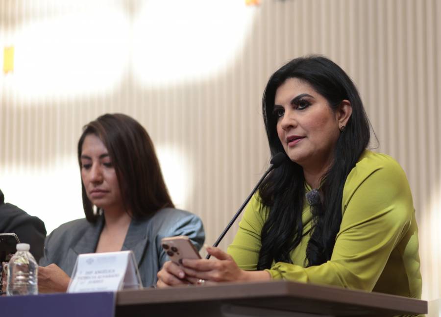 Propone la diputada Delfina Pozos asistencia consular para ni&ntilde;as, ni&ntilde;os y adolescentes mexicanos en Estados Unidos