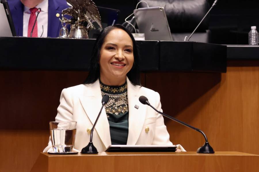 Propone Liz Sánchez verificar identidad y cédulas de psicólogos y psiquiatras en consultas por internet