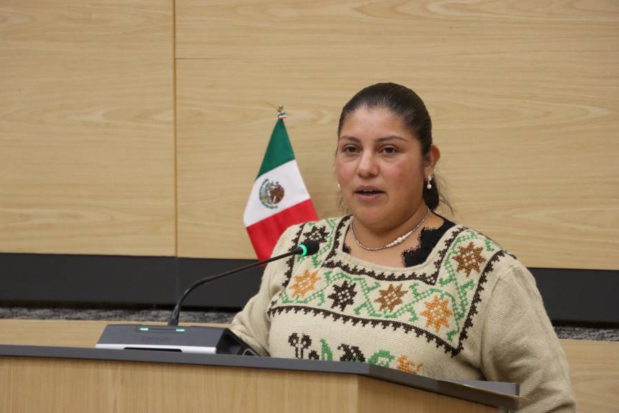 Presenta diputada Elisa Limon propuesta legislativa para fortalecer los m&oacute;dulos de medicina tradicional