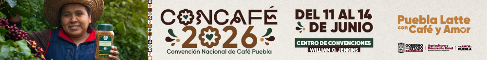 Concafe