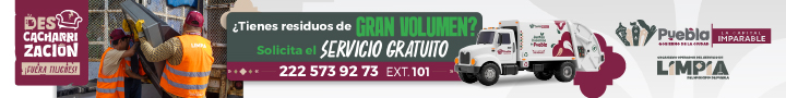 Descacharrizacion