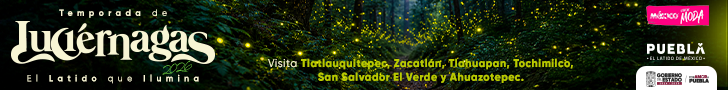 Luciernagas